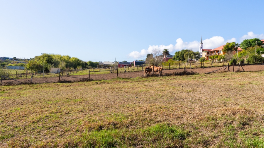 4 Bedroom Property for Sale in Napier Western Cape